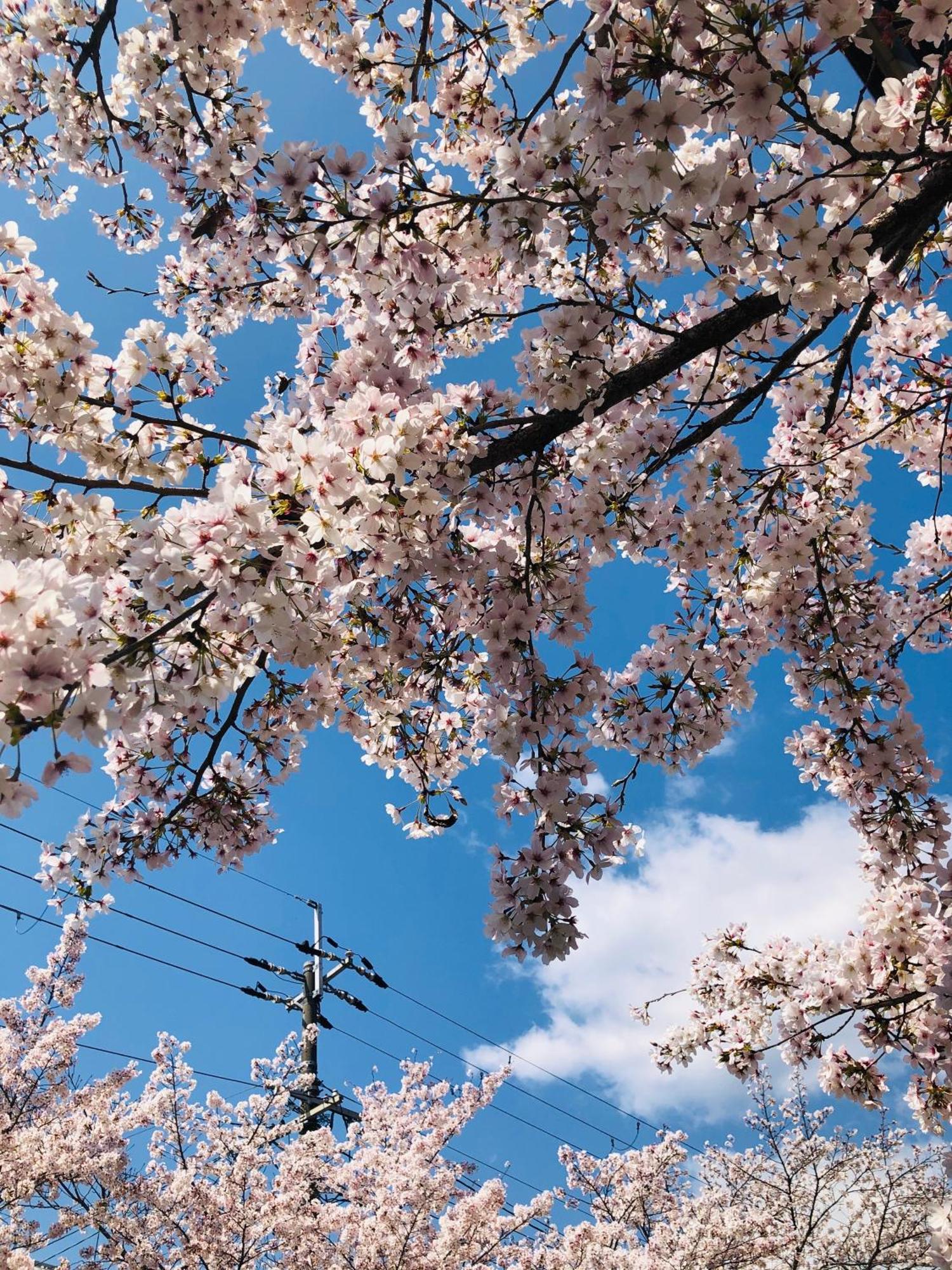 Tsubame-Ya Hotel เกียวโต ภายนอก รูปภาพ
