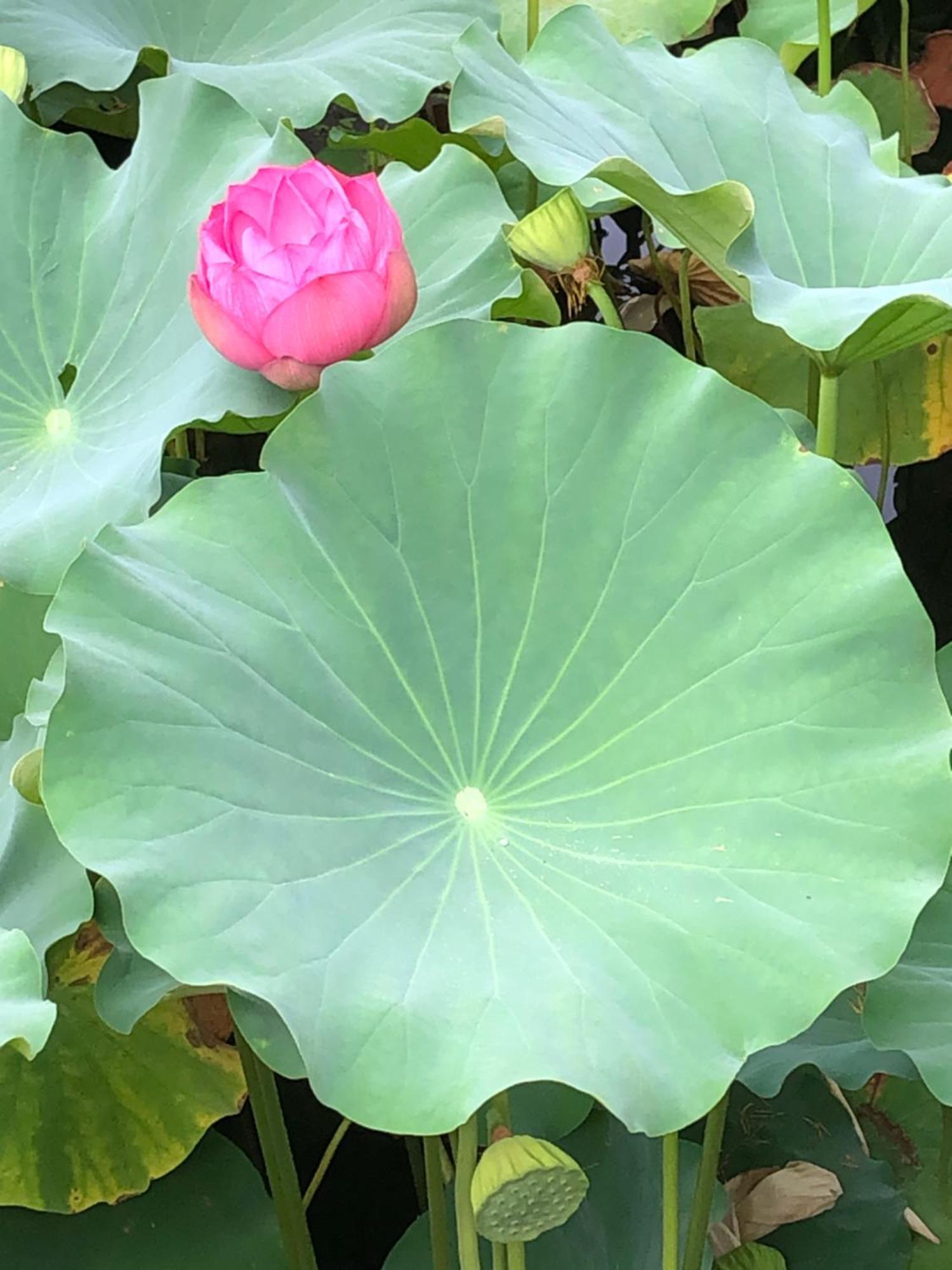 Tsubame-Ya Hotel เกียวโต ภายนอก รูปภาพ